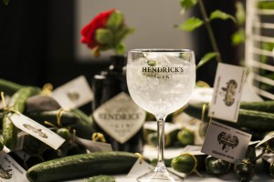 Hendricks - Dia Mundial do Pepino(2)