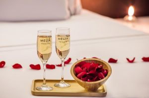taças melia