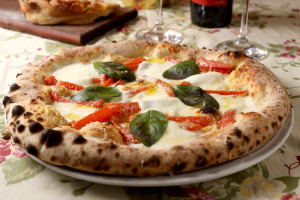 Margherita Bianca Fresca - Speranza 1