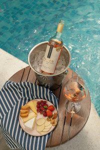 WhatsApp-Image-2026-02-19-at-10.17.05--2-