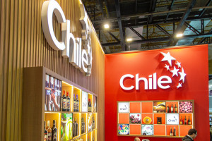 APAS PROCHILE 26