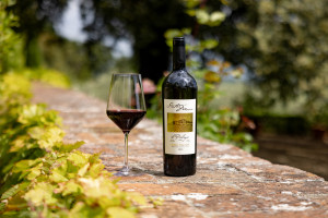 Meet-the-winemaker--Il-Palagio-2